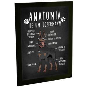 Quadro Decorativo Engraçado Cachorro Anatomia Raça Dobermann