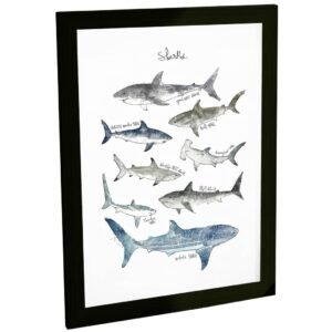 Quadro Decorativo Tipos De Tubarão Animais Decoração Escritório Veterinário Biólogo