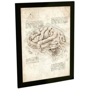 Quadros Decorativos Projeto Anatomia Maquinas Animais Varios Modelos Retro Estilo Leonardo Da Vinci Decoração Quarto Sala Escritório