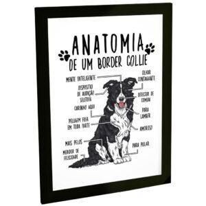 Quadro Decorativo Engraçado Cachorro Anatomia Raça Border Collie