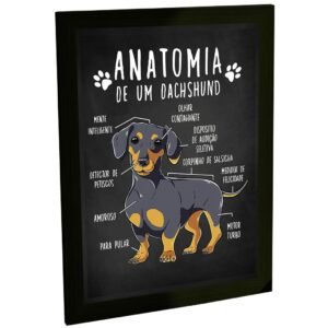 Quadro Decorativo Engraçado Cachorro Anatomia Raça Dachshund Salsicha