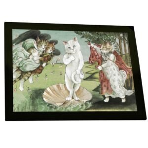 Quadro Decorativo Gato O Nascimento De Vênus Botticelli Decoração Poster Quarto Sala
