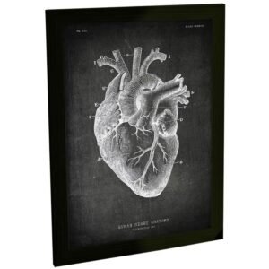 Quadro Decorativo Coração Humano Anatomia Decoração