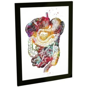 Quadro Decorativo Ilustração Intestino Medicina Hospital