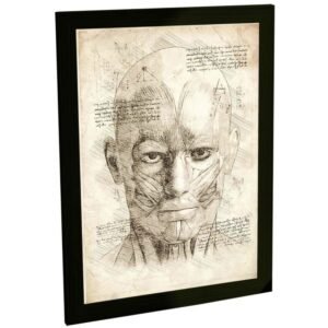 Quadros Decorativos Projeto Anatomia Maquinas Animais Varios Modelos Retro Estilo Leonardo Da Vinci Decoração Quarto Sala Escritório