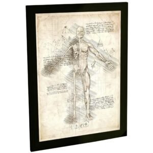 Quadro Decorativo Corpo Humano Medicina Biologia Decoração Escritório