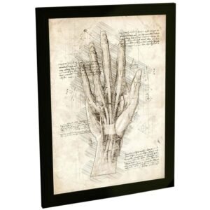 Quadros Decorativos Projeto Anatomia Maquinas Animais Varios Modelos Retro Estilo Leonardo Da Vinci Decoração Quarto Sala Escritório