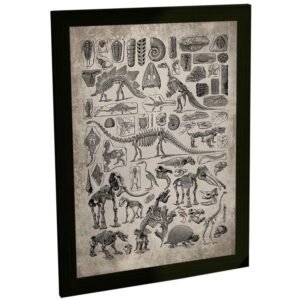 Quadro Decorativo Dinossauros Fosseis Decoração Poster V2