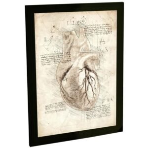 Quadro Decorativo Coração Anatomia Projeto Retro Da Vinci Poster